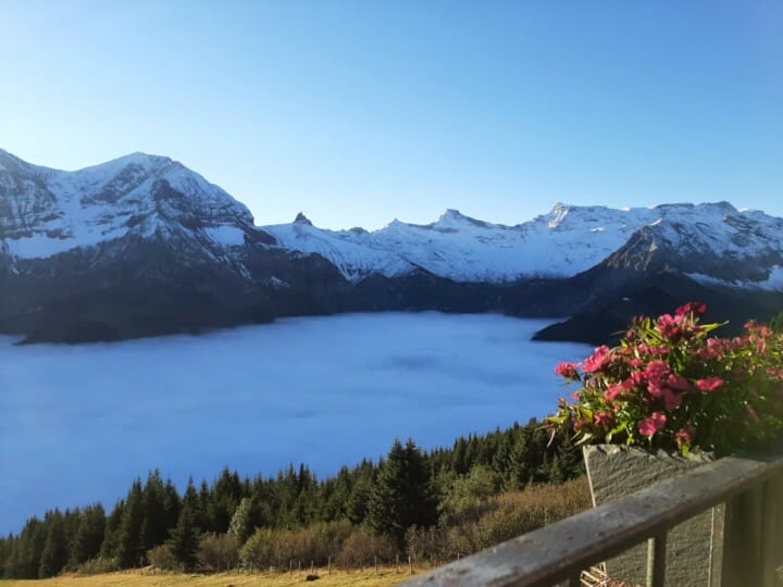 23 Mittagsgenuss auf der Tschentenalp