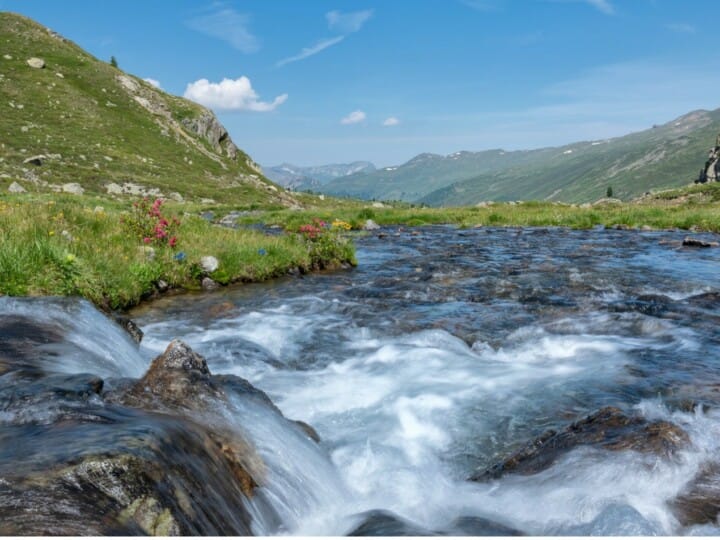 Flüelabach_Wasser_Grün_Berge_Sommer_(C)MarcelGiger