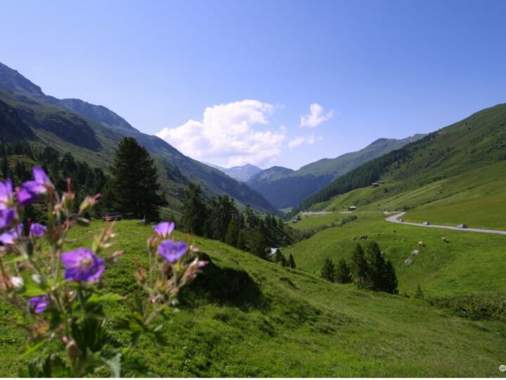 Fluelatal Richtung Davos mit Strasse Sommer (C) DDO