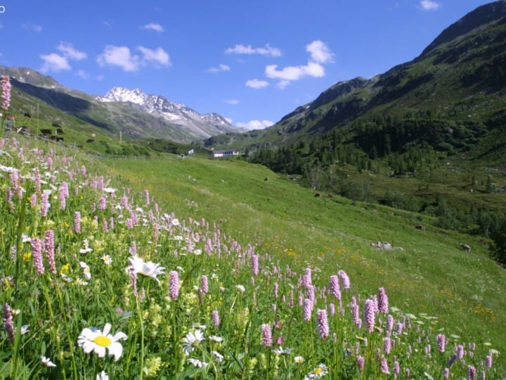 Fluelatal mit Tschuggen Sommer (C) DDO