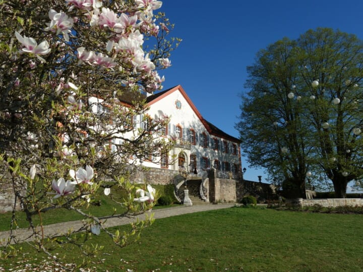 Schloss Bürgeln 1